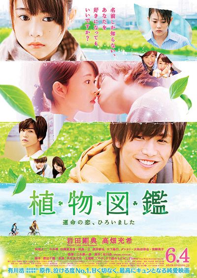 植物図鑑　運命の恋、ひろいました